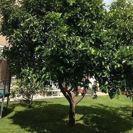 Casa Sabrina Marta